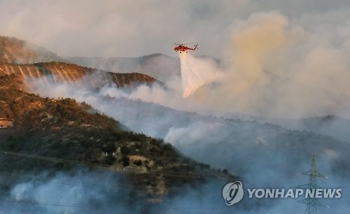 Erickson Korean Firefighting
